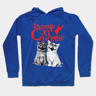 Insane cat pose Hoodie